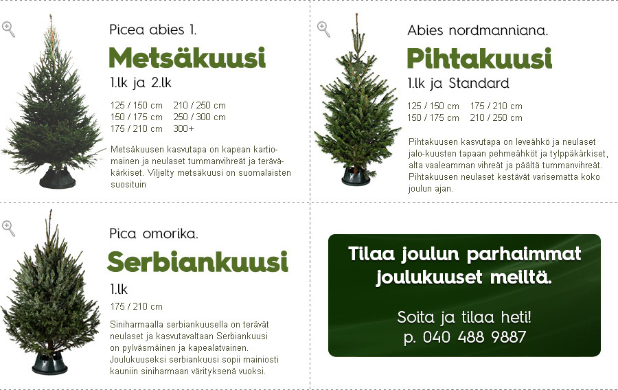 Joulukuusi, Joulukuuset